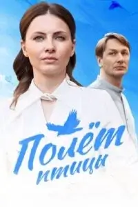 Полёт птицы