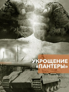 Укрощение «Пантеры»