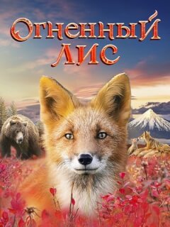 Огненный лис